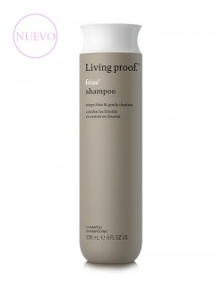 NO FRIZZ SHAMPOO
