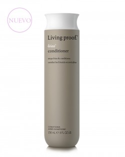 NO FRIZZ CONDITIONER