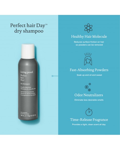 PERFECT HAIR DAY DRY SHAMPOO