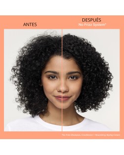 NO FRIZZ NOURISHING STYLING... 2