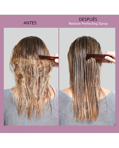 RESTORE PERFECTING SPRAY