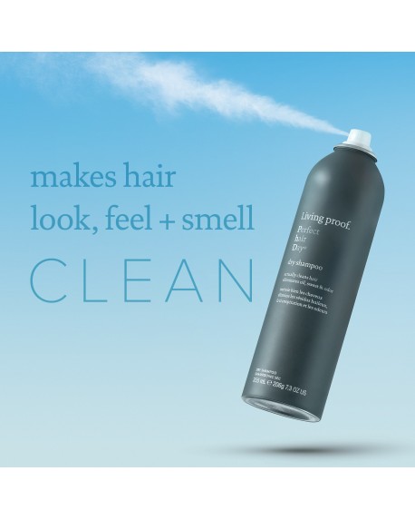 PERFECT HAIR DAY DRY SHAMPOO