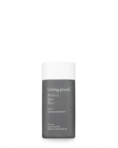 PERFECT HAIR DAY 5-IN-1  STYLING TREAT.