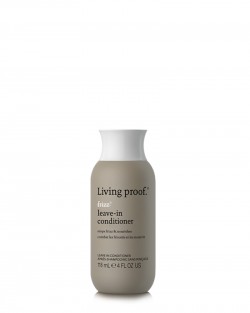 NO FRIZZ LEAVE-IN CONDITIONER