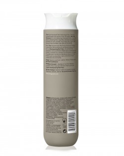 NO FRIZZ SHAMPOO 2