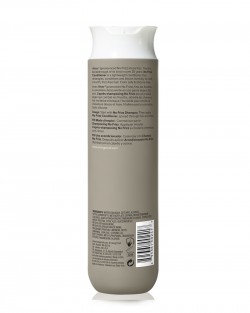 NO FRIZZ CONDITIONER 2