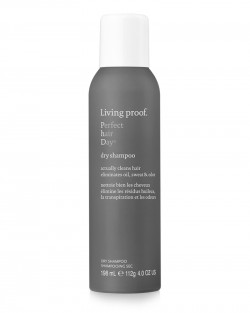 PERFECT HAIR DAY DRY SHAMPOO 2